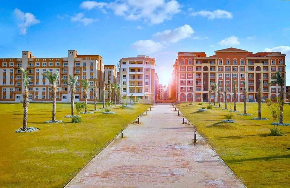 دجلة بالميز - Image 1